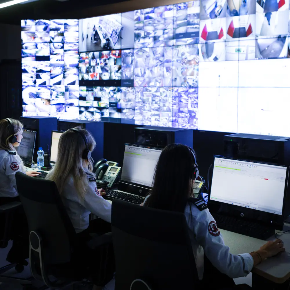 Montimi & Monitorimi i Alarmit të Thyerjes